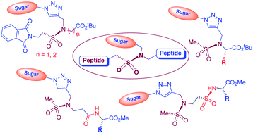 Graphical abstract: Synthesis of glycopeptoid sulfonamides diversifying N-glycopeptide linkage region mimics