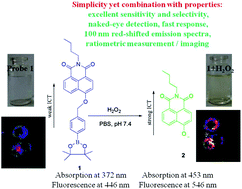 Graphical abstract: A fast-response, highly sensitive and selective fluorescent probe for the ratiometric imaging of hydrogen peroxide with a 100 nm red-shifted emission