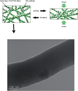 Graphical abstract: Electrically pressure sensitive poly(vinylidene fluoride)/polypyrrole electrospun mats