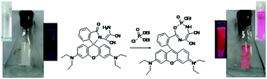 Graphical abstract: Rapid ‘naked eye’ response of DCP, a nerve agent simulant: from molecules to low-cost devices for both liquid and vapour phase detection