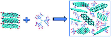 Graphical abstract: A reactive graphene sheet in situ functionalized hyperbranched polyurethane for high performance shape memory material