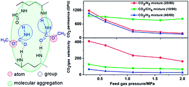 Graphical abstract: CO2 separation enhancement of the membrane by modifying the polymer with a small molecule containing amine and ester groups