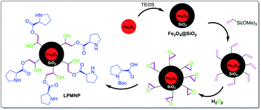 Graphical abstract: l-Proline-modified magnetic nanoparticles (LPMNP): a novel magnetically separable organocatalyst