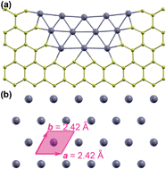 Graphical abstract: Two-dimensional ferromagnetic iron crystals constrained by graphene edges: a first principles study