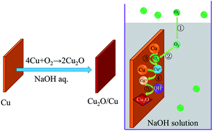 Graphical abstract: One-step transformation of Cu to Cu2O in alkaline solution