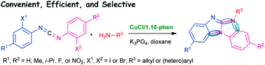 Graphical abstract: An efficient and facile synthesis of benzimidazo[1,2-a]benzimidazoles via copper-catalyzed domino addition/double cyclization