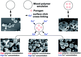 Graphical abstract: Emulsion click microspheres: morphology/shape control by surface cross-linking and a porogen