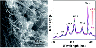 Graphical abstract: Effect of microwave irradiation on carbon nanotube fibers: exfoliation, structural change and strong light emission