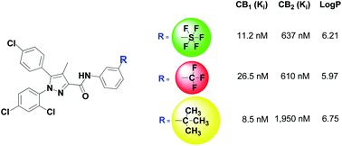 Graphical abstract: The pentafluorosulfanyl group in cannabinoid receptor ligands: synthesis and comparison with trifluoromethyl and tert-butyl analogues