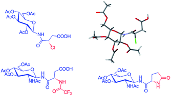 Graphical abstract: Regioselective opening of unsymmetrical cyclic anhydrides: synthesis of N-glycosylated isoasparagine and isoglutamine conjugates