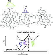 Graphical abstract: Delocalization of electronic states in graphene oxide stabilised mesoporous silica nanoparticles revealed using photoluminescence