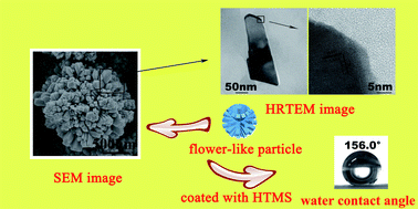 Graphical abstract: HF-assisted one-step synthesis of pompon-like/chip-like FeSe2 particles and their superamphiphobic/antireflective property