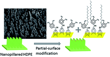 Graphical abstract: Bio-inspired HDPE-based dry adhesives and their layer-by-layer catechol modification on the surface for use in humid environments