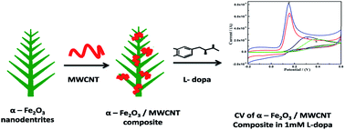 Graphical abstract: Controlled growth of single-crystalline nanostructured dendrites of α-Fe2O3 blended with MWCNT: a systematic investigation of highly selective determination of l-dopa
