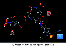 Graphical abstract: The diverse pharmacology and medicinal chemistry of phosphoramidates – a review