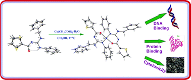 Graphical abstract: DNA/protein binding and cytotoxicity studies of copper(ii) complexes containing N,N′,N′′-trisubstituted guanidine ligands