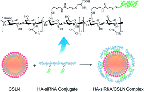 Graphical abstract: Hyaluronic acid–siRNA conjugates complexed with cationic solid lipid nanoparticles for target specific gene silencing