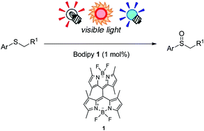 Graphical abstract: Facile synthesis of dimeric BODIPY and its catalytic activity for sulfide oxidation under visible light