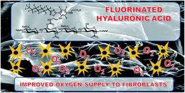 Graphical abstract: Perfluorocarbon functionalized hyaluronic acid derivatives as oxygenating systems for cell culture