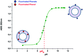 Graphical abstract: Spectroscopic investigation of fluorinated phenols as pH-sensitive probes in mixed liposomal systems