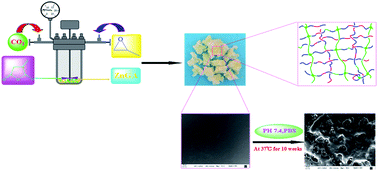 Graphical abstract: A one-step strategy for cross-linkable aliphatic polycarbonates with high degradability derived from CO2, propylene oxide and itaconic anhydride