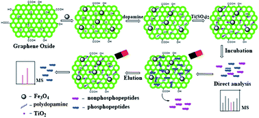 Graphical abstract: Facile preparation of graphene/Fe3O4/TiO2 multifunctional composite for highly selective and sensitive enrichment of phosphopeptides