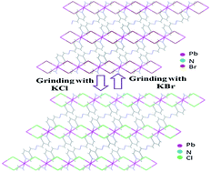 Graphical abstract: Solid state structural transformation of bromide coordination polymer to chloride by anion replacement; new precursors for preparation of PbBr2 and PbCl2 nanoparticles