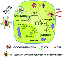 Graphical abstract: Graphene oxide–Fe3O4 nanocomposite for combination of dual-drug chemotherapy with photothermal therapy