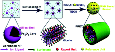 Graphical abstract: Self-assembly of magnetically recoverable ratiometric Cu2+ fluorescent sensor and adsorbent