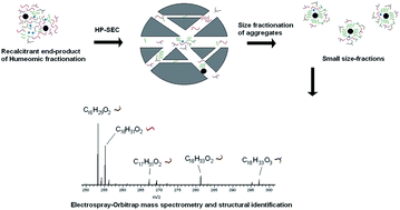 Graphical abstract: Molecular characterization of an end-residue of humeomics applied to a soil humic acid