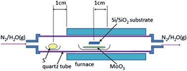 Graphical abstract: Growth of large area few-layer or monolayer MoS2 from controllable MoO3 nanowire nuclei