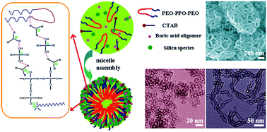 Graphical abstract: Boric acid assisted formation of mesostructured silica: from hollow spheres to hierarchical assembly