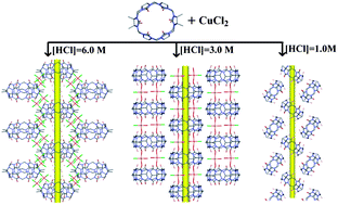 Graphical abstract: Anion concentration control in the self-assembly of symmetrical α,α′,δ,δ′-tetramethyl-cucurbit[6]uril-based tubular architectures