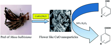 Graphical abstract: Bio-derived CuO nanocatalyst for oxidation of aldehyde: a greener approach