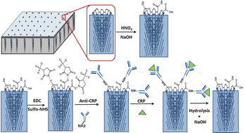 Graphical abstract: Vertically aligned carbon nanofiber nanoelectrode arrays: electrochemical etching and electrode reusability