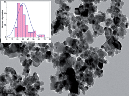 Graphical abstract: Synthesis of ZnFe2O4 nanoparticles and their asymmetric configuration with Ni(OH)2 for a pseudocapacitor
