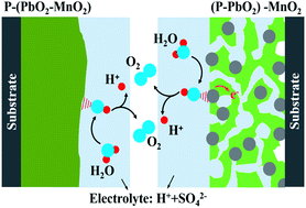 Graphical abstract: Novel phosphorus-doped PbO2–MnO2 bicontinuous electrodes for oxygen evolution reaction