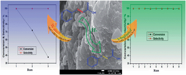 Graphical abstract: Effect of support and solvent on the activity and stability of NiCoB amorphous alloy in cinnamic acid hydrogenation