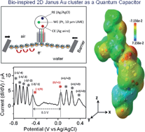 Graphical abstract: Bio-inspired Janus gold nanoclusters with lipid and amino acid functional capping ligands: micro-voltammetry and in situ electron transfer in a biogenic environment