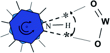 Graphical abstract: Unusual IR ring mode splittings for pyridinium species in H3PW12O40 heteropolyacid: involvement of the δNH internal mode