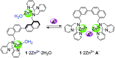 Graphical abstract: Pyrophosphate selective recognition by a Zn2+ complex of a 2,2′-binaphthalene derivative bearing di(2-pyridylmethyl)aminomethyl groups in aqueous solution