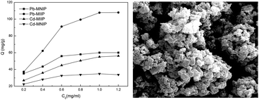 Graphical abstract: Preparation of magnetic Pb(ii) and Cd(ii) ion-imprinted microspheres and their application in determining the Pb(ii) and Cd(ii) contents of environmental and food samples