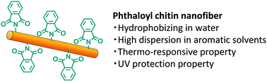 Graphical abstract: Surface phthaloylation of chitin nanofiber in aqueous media to improve dispersibility in aromatic solvents and give thermo-responsive and ultraviolet protection properties