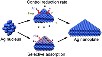 Graphical abstract: Effect of metal ions on the morphology of silver nanocrystals