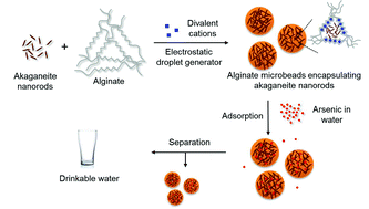 Graphical abstract: Size-controlled synthesis of uniform akaganeite nanorods and their encapsulation in alginate microbeads for arsenic removal
