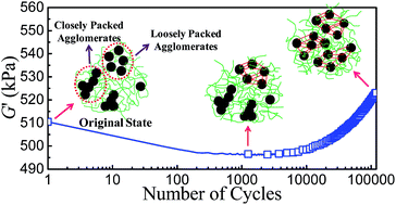 Graphical abstract: Network evolutions in both pure and silica-filled natural rubbers during cyclic shear loading