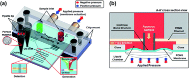 Graphical abstract: Integrated pneumatic micro-pumps for high-throughput droplet-based microfluidics