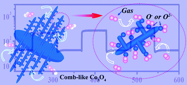 Graphical abstract: Fast response/recovery performance of comb-like Co3O4 nanostructure