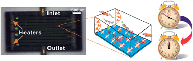 Graphical abstract: Accelerated DNA recombination on a functionalized microfluidic chip