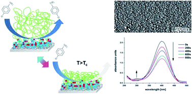 Graphical abstract: Nanocomposite coatings with stimuli-responsive catalytic activity